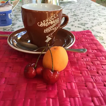 Séjour chez l'habitant Garden Fiorella *