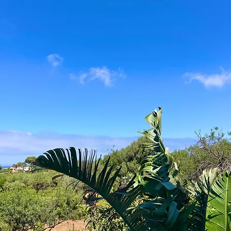 Accommodatie bij particulieren Garden Fiorella *